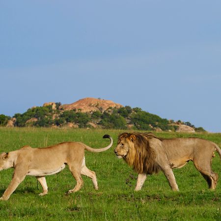 Nkomazi Game Reserve By Newmark Badplaas Exterior photo