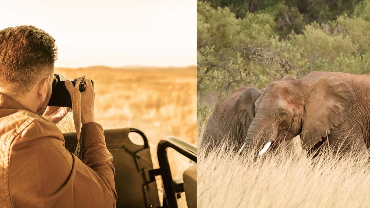 Nkomazi Game Reserve By Newmark Badplaas Exterior photo
