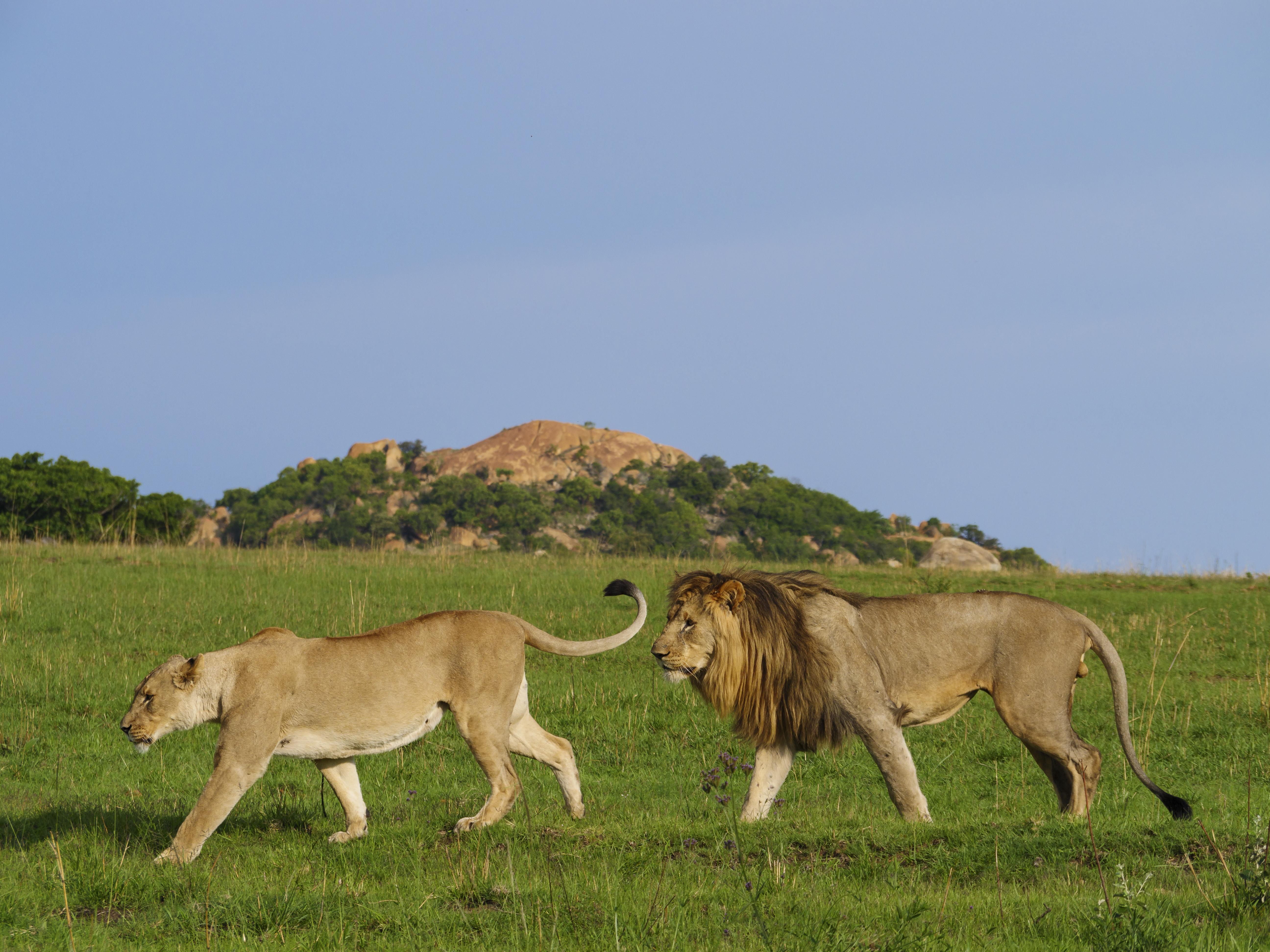 Nkomazi Game Reserve By Newmark Badplaas Exterior photo