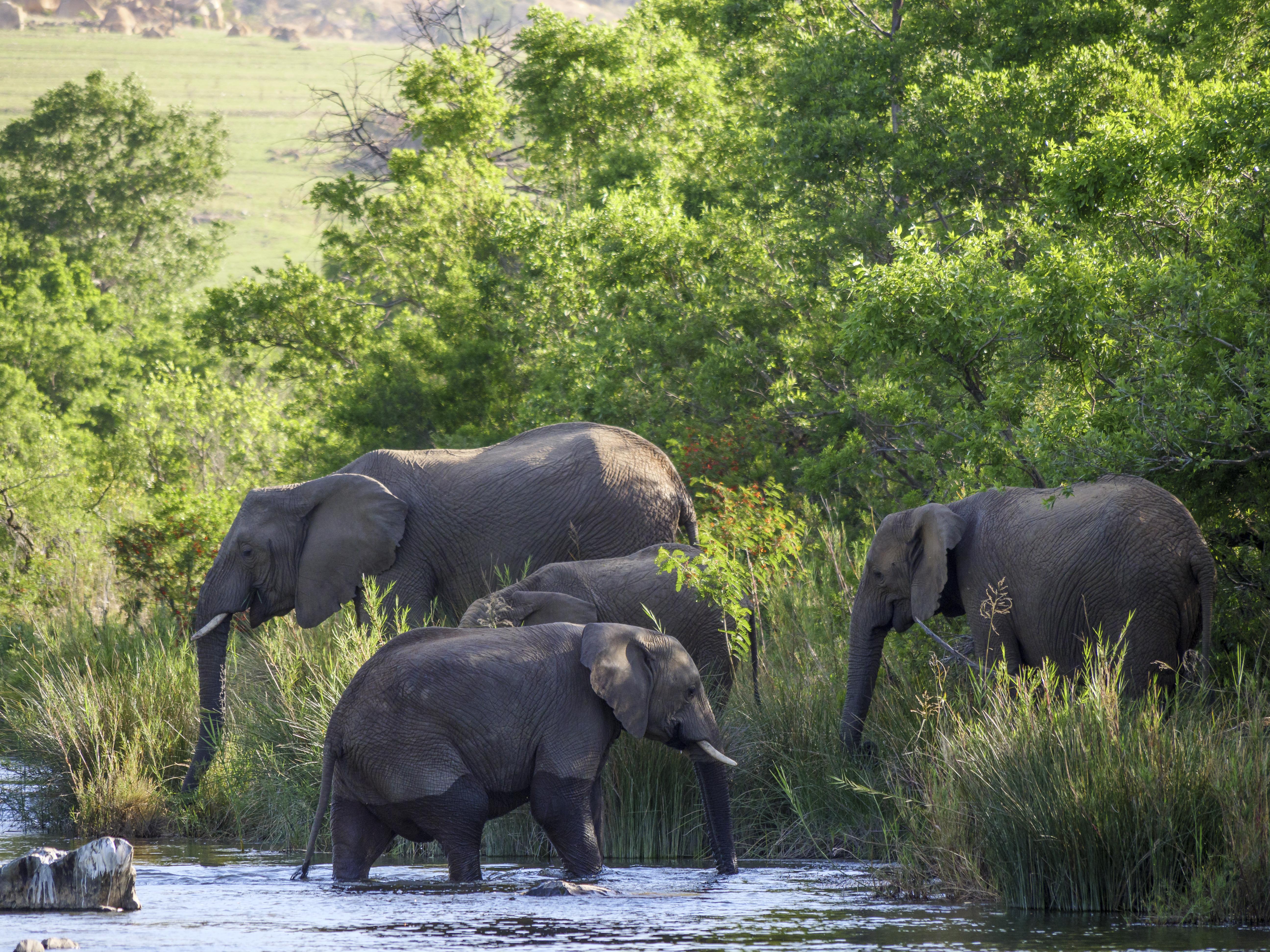 Nkomazi Game Reserve By Newmark Badplaas Exterior photo